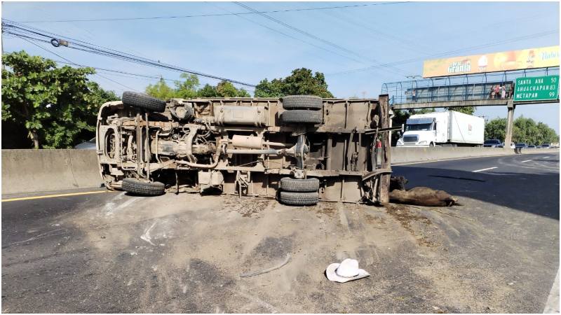 Así quedó el pick up tras el vuelco. Foto / Comandos de Salvamento