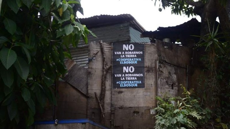 cooperativa el bosque