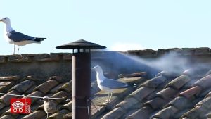 gaviotas del cónclave