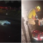 Escena del accidente ocurrido en la Troncal del Norte que dejó a una mujer muerta y a dos heridos. Foto / Cortesía Comandos de Salvamento