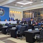 Asamblea plenaria