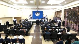 Asamblea plenaria 56