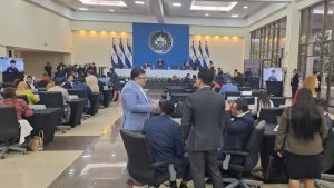 Asamblea Legislativa plenaria 55