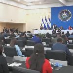 Asamblea plenaria