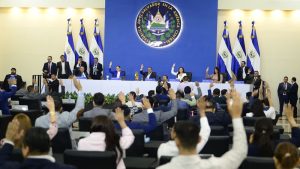 votacion plenaria extraordinaria