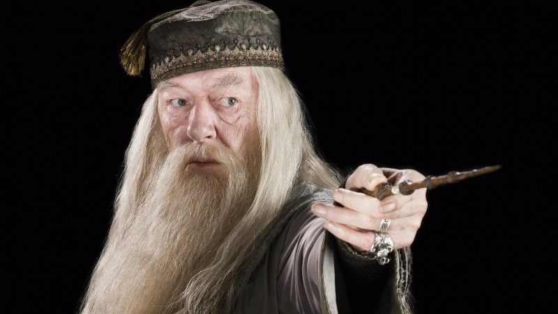 Albus es un ícono del cine de fantasía. Foto: Warner Bros.