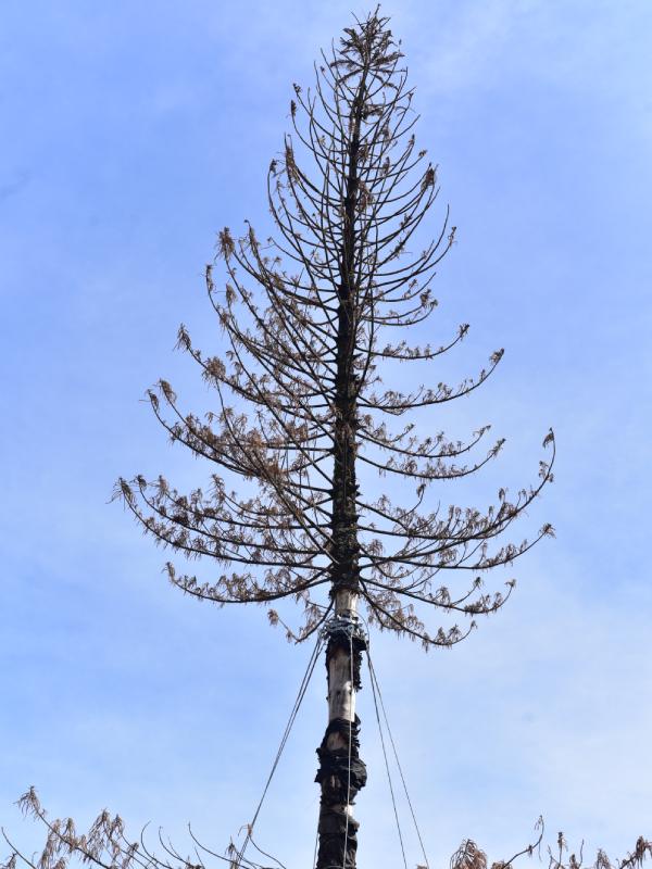 EDC Intervención y demolición del Hotel El Palacio 2