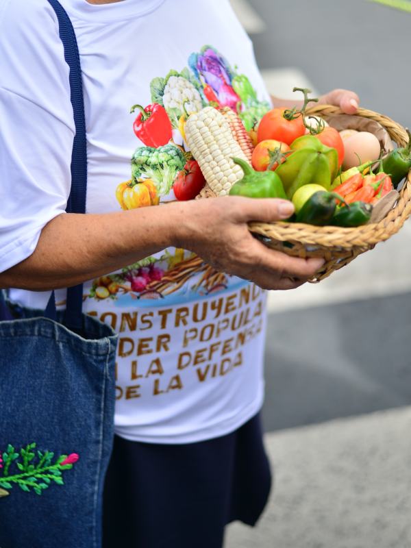 Caminata ecológica realizada por el movimiento franciscano de la iglesia católica junto a organizaciones ambientalistas.