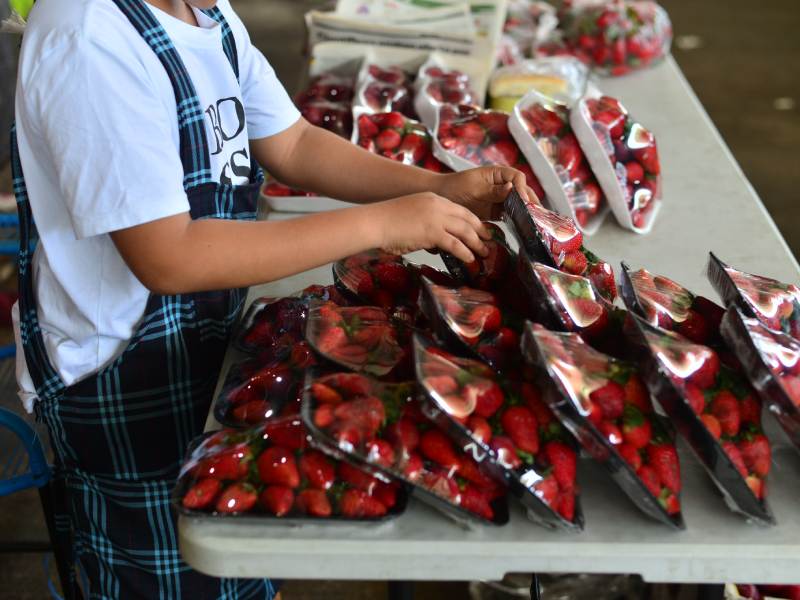 Trabajo infantil, niños trabajando en albañilería y mercado La Tiendona.