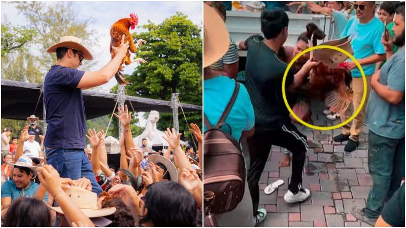 El alcalde sorprendió con la entrega de las aves y hubo algunas peleas, según videos de redes sociales. Foto / Facebook Carlos Landaverde y captura de pantalla