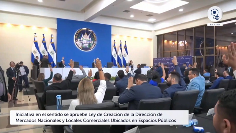 Plenaria 58 votación