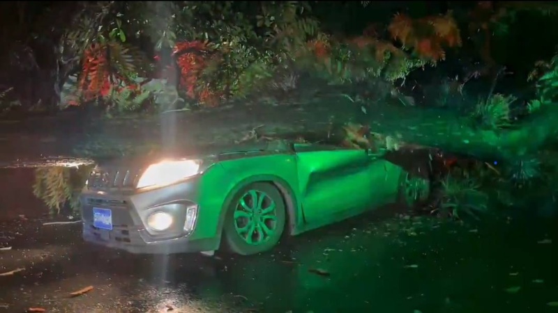 El vehículo quedó con daños considerables y el conductor salió con heridas leves. Foto: Cortesía