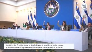 asamblea plenaria ley