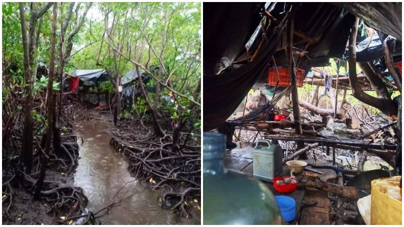 Entre manglares de la Bahía de Jiquilisco se escondían los delincuentes. Foto / Cortesía PNC