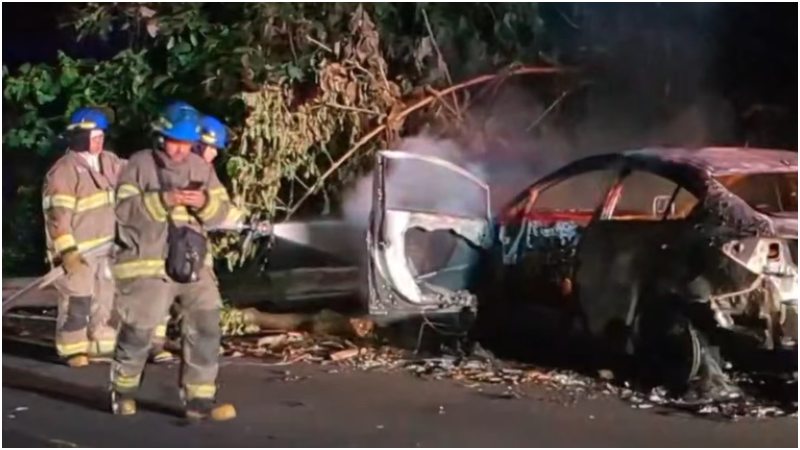 Bomberos evitaron que el fuego se propagara a las líneas y a la vegetación. Foto / Cortesía Cruz Roja