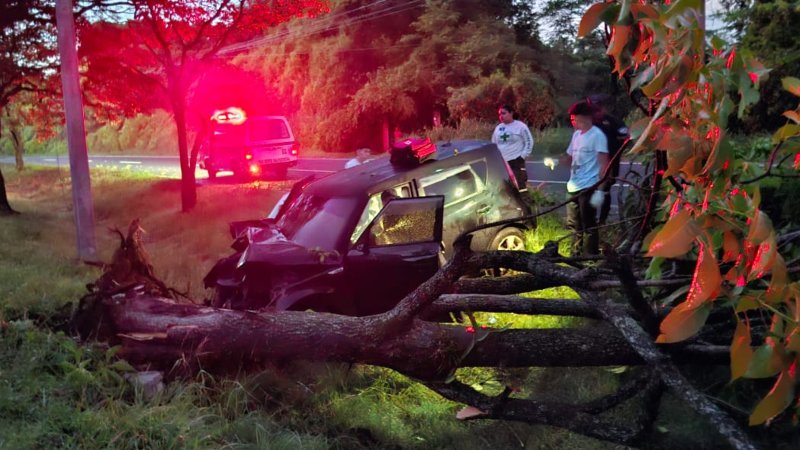 Socorristas encontraron sin vida al conductor del vehículo tras chocar con árboles. Foto: Cruz Verde Salvadoreña