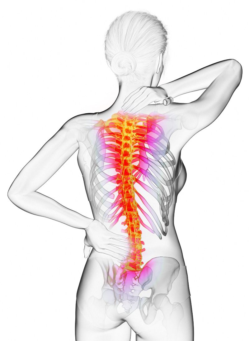 Dolencias como la lumbalgia, contracturas o hernias discales no suelen aparecer de la nada: son la consecuencia de malas costumbres que acumulamos con los años.