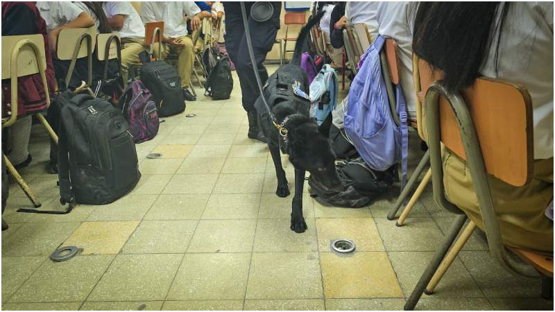 Un agente canino revisando las mochilas de los alumnos. Foto / FGR