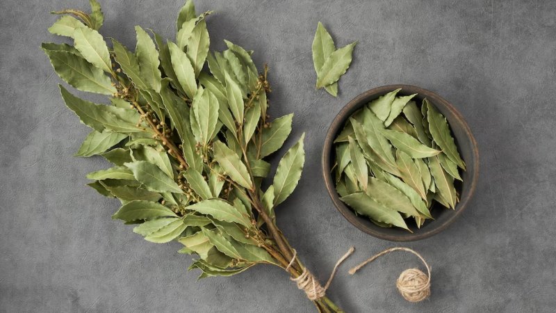 Té de laurel