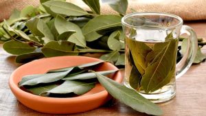 Té de laurel