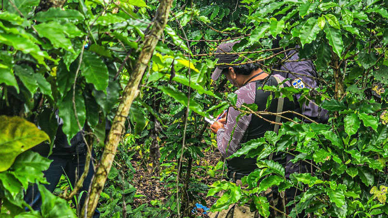 trabajos-exhumacion-cuerpos-enterrados-finca-San-Jorge