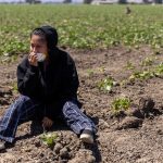 Trabajador agrícola muere tras ser herido en redada antimigrantes en EE.UU.
