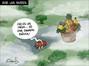 Alecus canasta basica precios