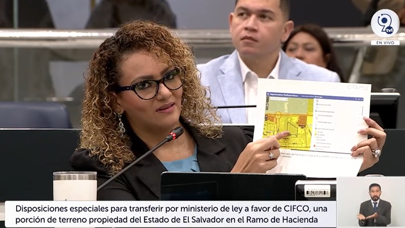 Ana Figueroa diputada