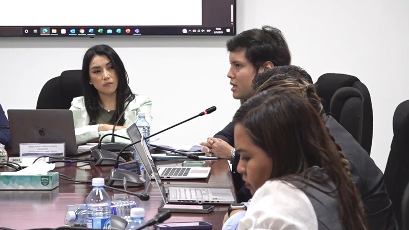 director ANIA Comisión tecnología