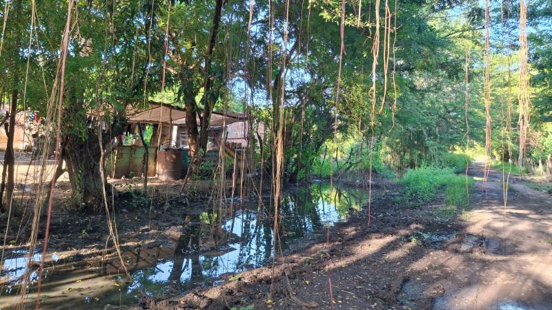 Dos niñas muere de dengue San Antonio Silva