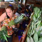 Agromercados, un subsidio que sale del bolsillo de todos los salvadoreños