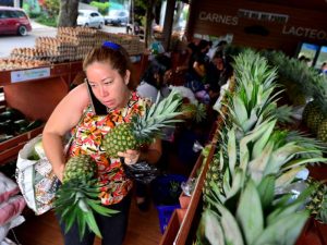 Imágenes de Agromercados de la Colonia Altavista y de TICSA en Ilopango y la Central de Abastos en Soyapango. Canasta básica, alimentos, frutas, verduras.