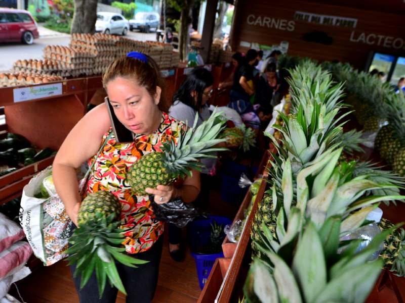Imágenes de Agromercados de la Colonia Altavista y de TICSA en Ilopango y la Central de Abastos en Soyapango. Canasta básica, alimentos, frutas, verduras.
