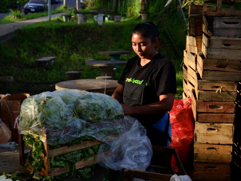 Imágenes de Agromercados de la Colonia Altavista y de TICSA en Ilopango y la Central de Abastos en Soyapango. Canasta básica, alimentos, frutas, verduras.