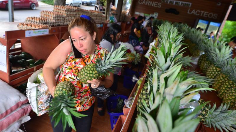 Imágenes de Agromercados de la Colonia Altavista y de TICSA en Ilopango y la Central de Abastos en Soyapango. Canasta básica, alimentos, frutas, verduras.