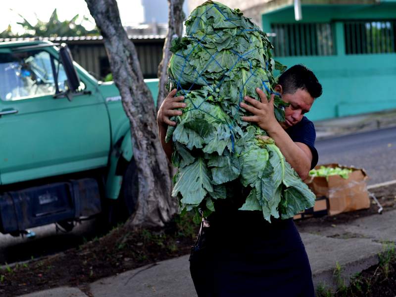 Imágenes de Agromercados de la Colonia Altavista y de TICSA en Ilopango y la Central de Abastos en Soyapango. Canasta básica, alimentos, frutas, verduras.