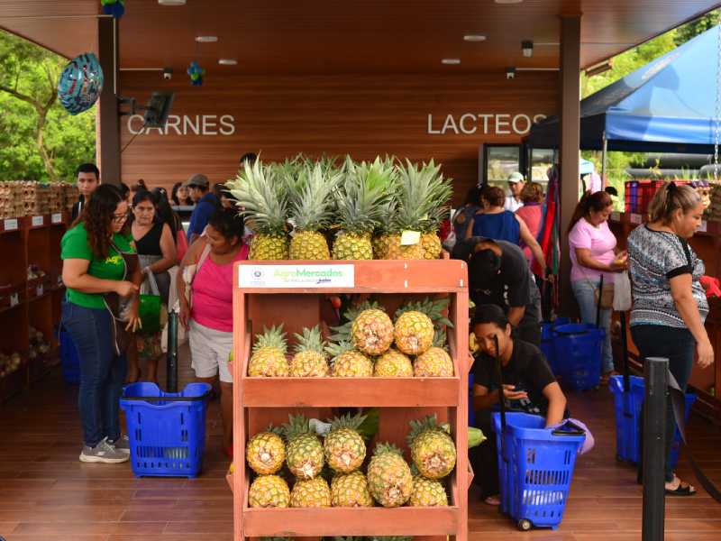 Imágenes de Agromercados de la Colonia Altavista y de TICSA en Ilopango y la Central de Abastos en Soyapango. Canasta básica, alimentos, frutas, verduras.