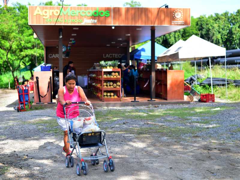 Imágenes de Agromercados de la Colonia Altavista y de TICSA en Ilopango y la Central de Abastos en Soyapango. Canasta básica, alimentos, frutas, verduras.