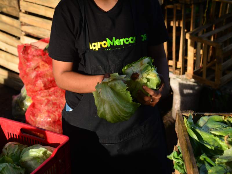 Imágenes de Agromercados de la Colonia Altavista y de TICSA en Ilopango y la Central de Abastos en Soyapango. Canasta básica, alimentos, frutas, verduras.