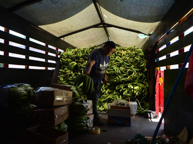 Imágenes de Agromercados de la Colonia Altavista y de TICSA en Ilopango y la Central de Abastos en Soyapango. Canasta básica, alimentos, frutas, verduras.