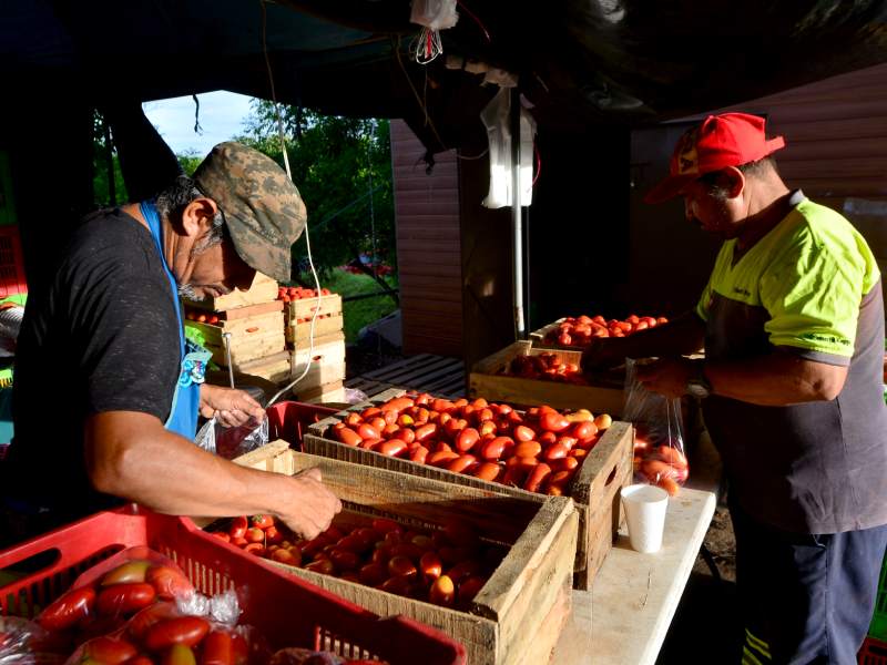 Imágenes de Agromercados de la Colonia Altavista y de TICSA en Ilopango y la Central de Abastos en Soyapango. Canasta básica, alimentos, frutas, verduras.