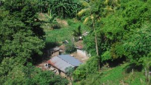 embarazos adolescentes