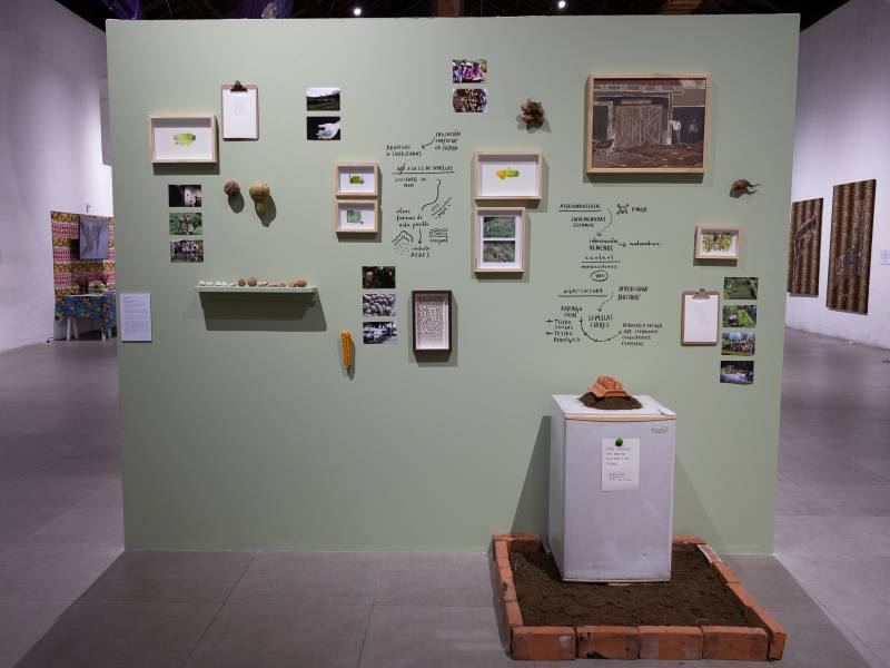 Exposición de arte centroamericano feminista en el MADC de Costa Rica