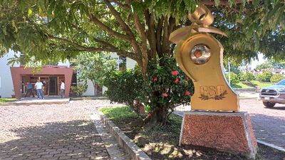 Fesfut nuevos Estatutos