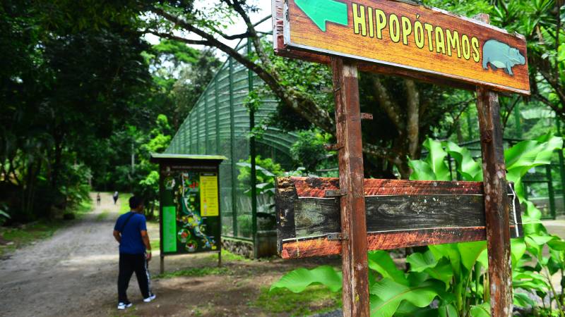 Furesa- Familias- Animales- Recorrido