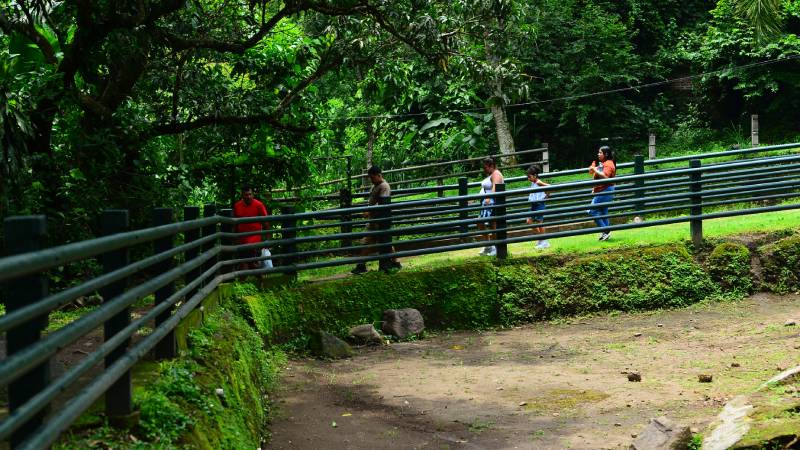 Furesa- Familias- Animales- Recorrido