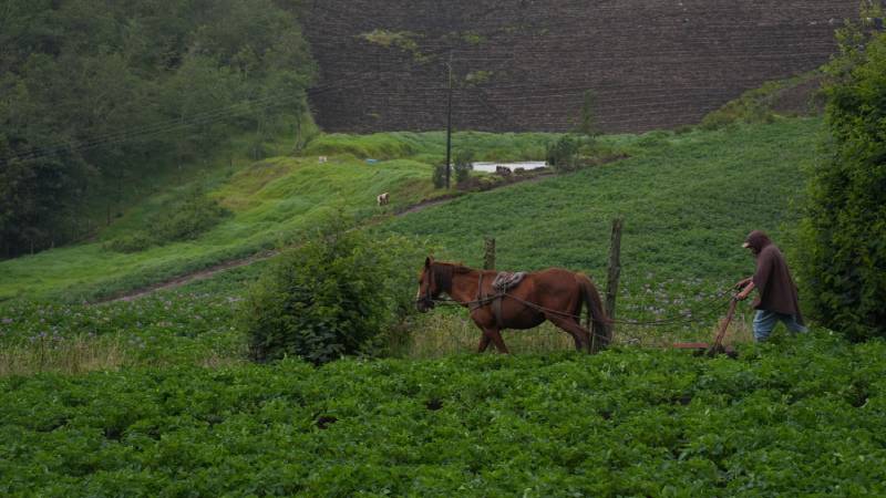 Regiones- Hambruna-Sudan- Gaza-Fenomenos