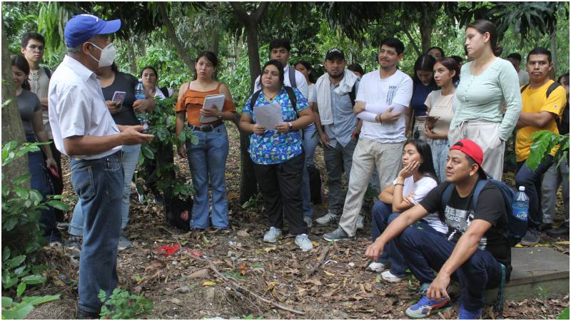 El ingeniero Ruano explica a estudiantes de la carrera de Veterinaria y Zootecnia de la UES sobre las especies de abeja sin aguijón que se encuentran en el campus. Foto / Wilfredo Díaz 