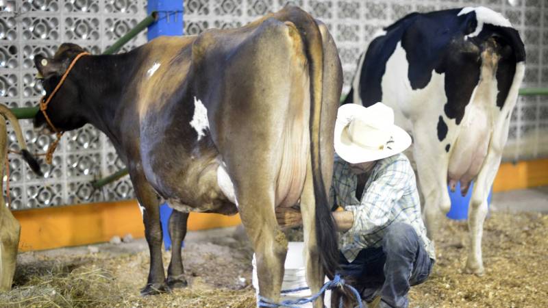 Vacas- leche- Productos Lácteos