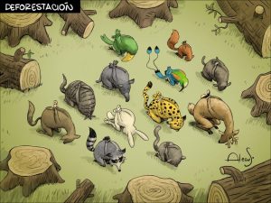 alecus deforestacion El Espino